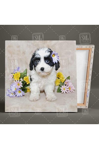 SML TABLO Puppy Dog Flower Φωτογράφος Κοντινό πλάνο Άθωο τετράγωνο ζωγραφική σε καμβά