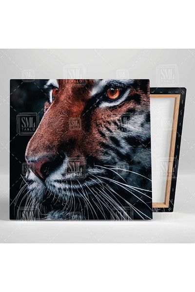 SML TABLO Wild Tiger Nobility Forest Animal Decor Τετράγωνος πίνακας σε καμβά
