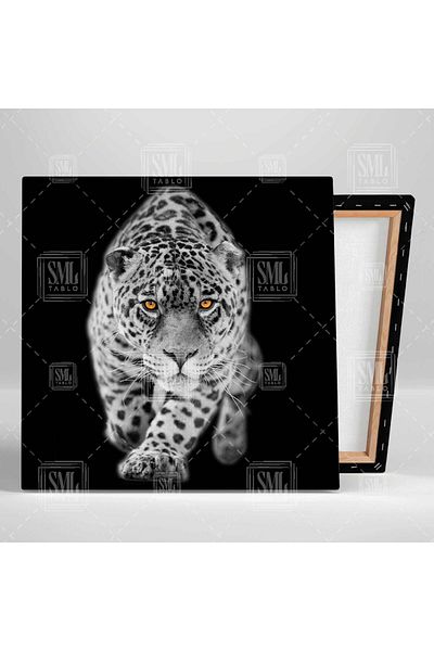 SML TABLO Wild Leopard Nature Animal Μαύρο Λευκό Τετράγωνο Καμβάς