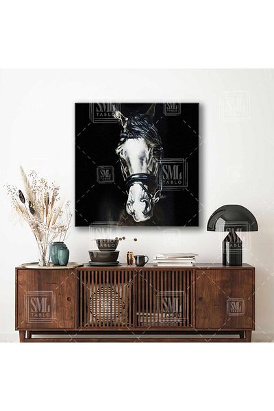 SML TABLO Cavalul alb nobil în întuneric Animal Square Canvas Painting