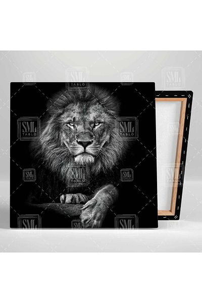 SML TABLO Noble Lion King of the Forest Καρισματικό ζωικό τετράγωνο καμβά