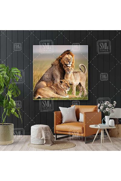 SML TABLO Familia Leului Regele Pădurilor Pictură pe pânză pătrată cu animale