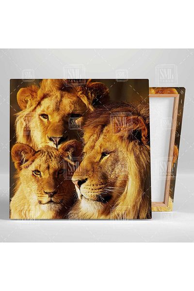 SML TABLO Charisma Lion Family Regele Pădurilor Tigru Cub Leu Animal Pictură pe pânză