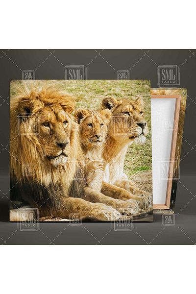 SML TABLO Regulul pădurilor Leu Familie Cub Leu Natură Pictură pătrată pe pânză