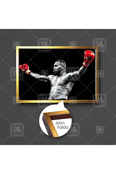 SML TABLO Mike Tyson Boks Kırmızı Eldiven Güç Box Çerçeveli Yatay Kanvas Tablo