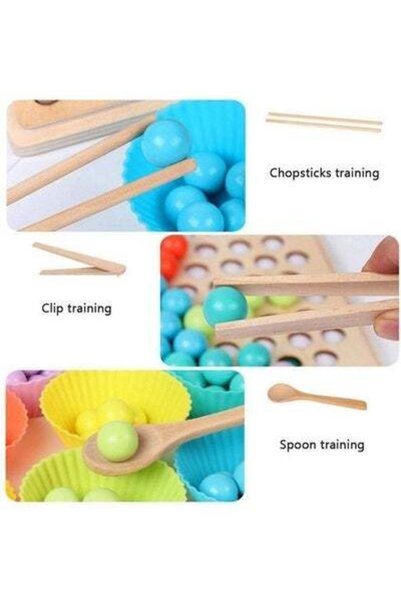 HALAMODO Recognition And Hands Brain Training Set