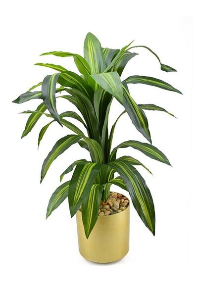 DRAMA HOME Artificial tree, simulating a soft corn tree with a natural texture, 100 cm high