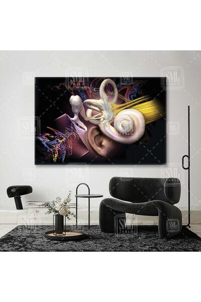 SML TABLO Kulak Anatomisi Ear Duyma Kulak Burun Boğaz Ent Yatay Kanvas Tablo