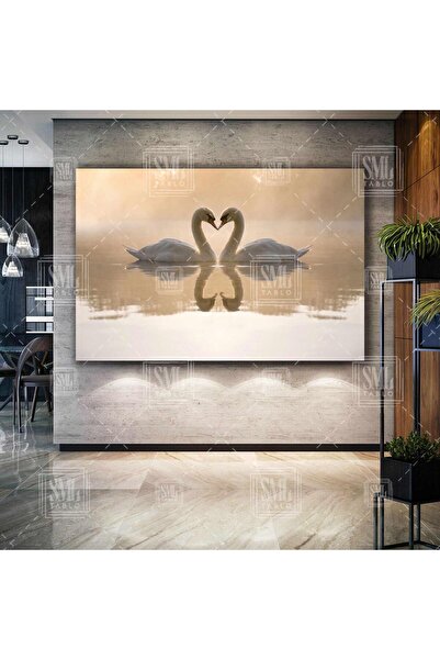 SML TABLO Kuğu Çifti Ve Kalp Aşk Love Zarafet Doğa Manzara Hayvan Yatay Kanva...