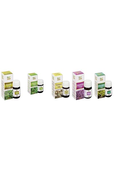 Bio Vitals Set of 5 - Thyme Mint Eucalyptus Lavender Tea Tree Herbal Massage Oil