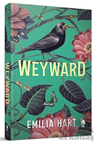 Nemesis Kitap Weyward