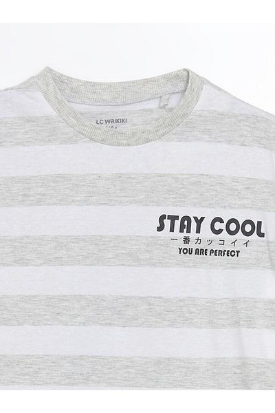 LC Waikiki Lcw Kids Mixed Crew Neck Striped Boys T-Shirt