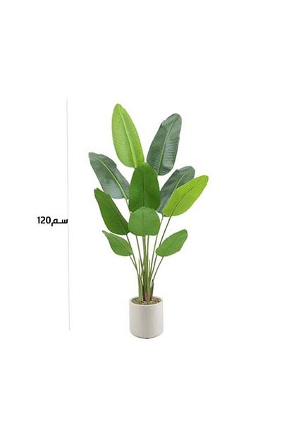 DRAMA HOME Banana Tree for Home Decor in White Pot 120cm