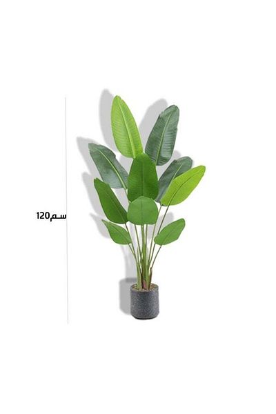DRAMA HOME Banana Tree for Home Decor in White Pot 120cm
