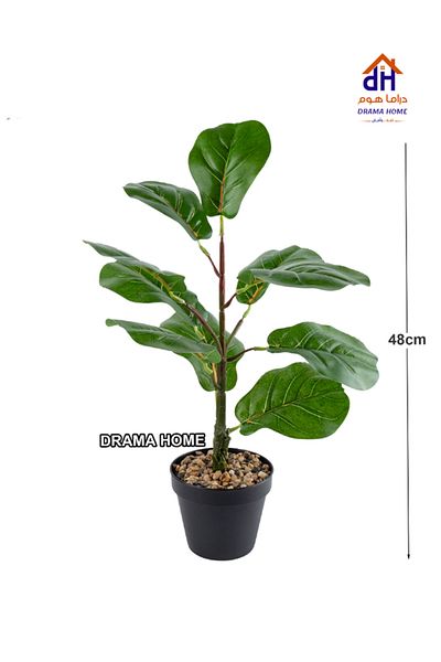 DRAMA HOME 48cm Realistic Artificial Fiddle Leaf Fig Tree for Home Decor