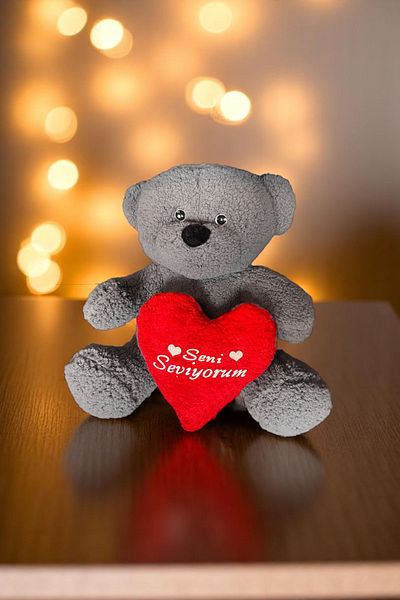 Canestar I Love You Cute Plush Teddy Bear with Heart Gray - Special Heart Teddy Bear for Lover