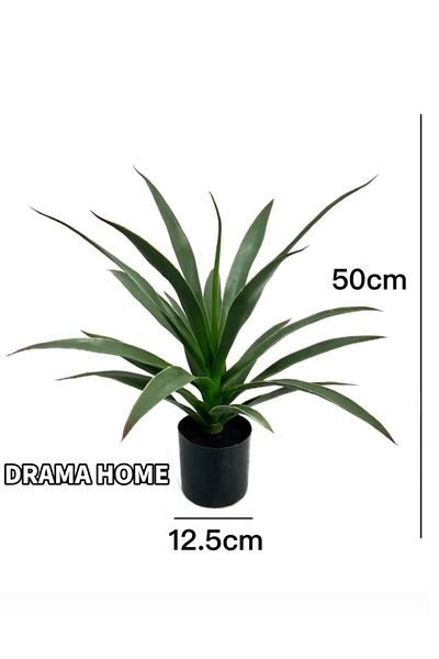 DRAMA HOME 50cm Artificial Yucca Tree