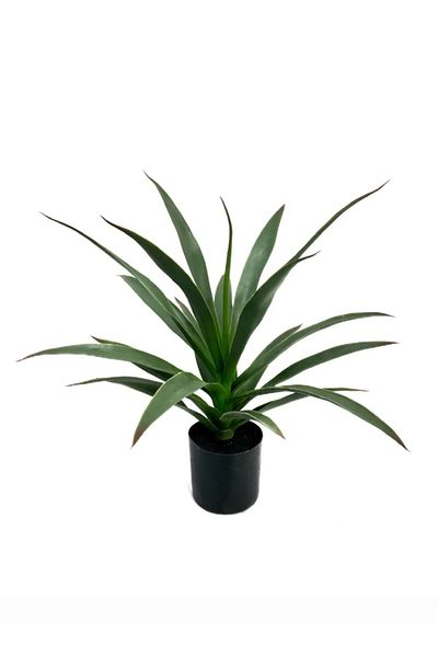 DRAMA HOME 50cm Artificial Yucca Tree