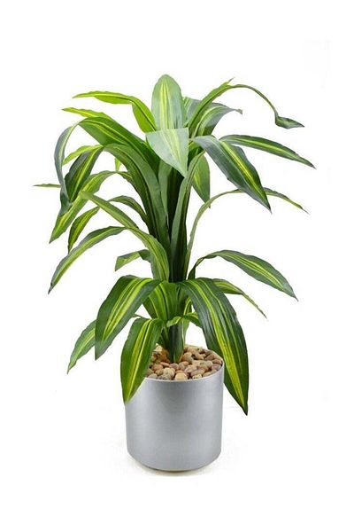 DRAMA HOME 100cm Green/Silver Artificial Corn Tree