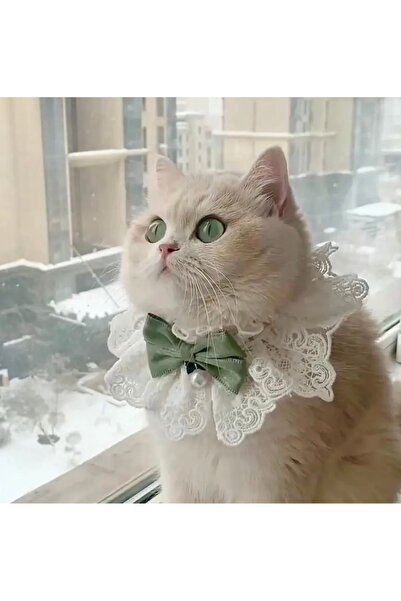 Animalovers طوق قطة منسوج أنيق قابل للتعديل مع ربطة عنق ومريلة من الدانتيل