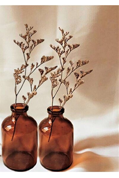 Juniberry 2 Adet Amber Kahverengi Mini Cam Şişe 50ml Oda Kokusu Şişesi Vazo 2x50ml Siyah Kapaklı (ÇİÇEKSİZ)