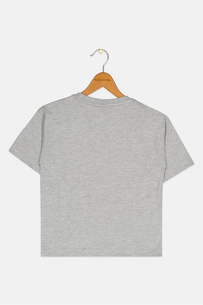 Marvel Toddlers Boy Crew Neck Short Sleeve Spiderman T-shirt, Grey