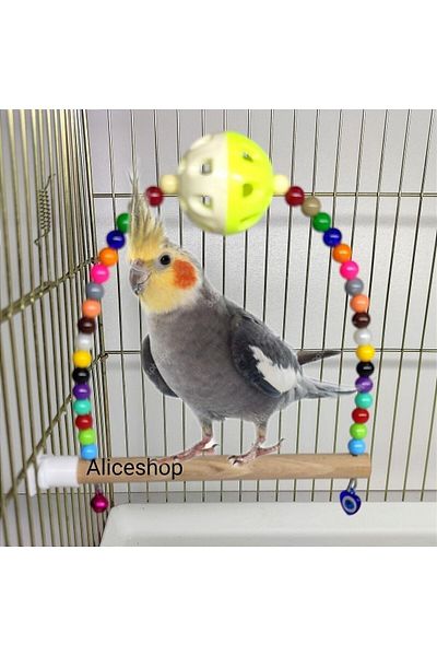 Alice Sultan Parrot Bell-Bell Perched Toy