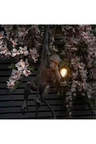 İki Cadı Tasarım Avize Maymun, Elektrik Tesisatıyla Gönderim