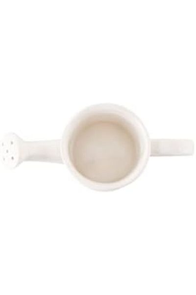 STOREMAX Rom Alumilite Watering Can 300Cc Romshp 1067323