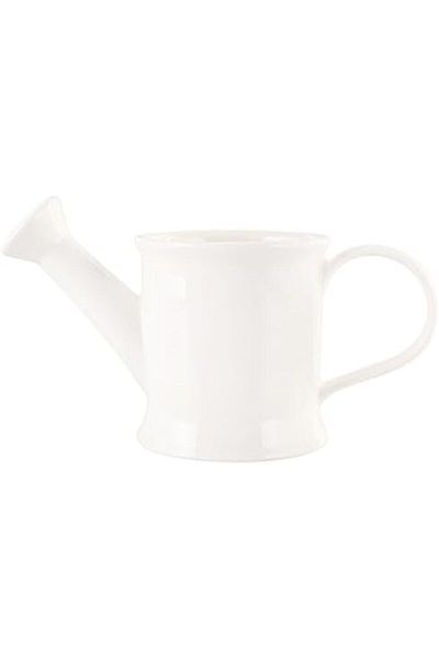 STOREMAX Rom Alumilite Watering Can 300Cc Romshp 1067323