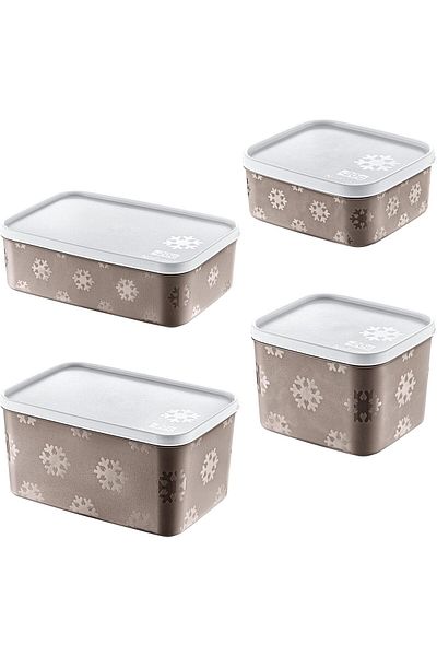 STOREMAX Bystoreby Set of 4 No Frost Storage Container Terra (All Sizes) Newdesing 646268