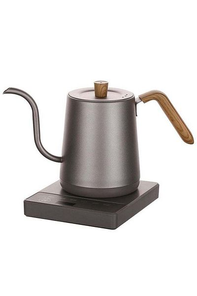 COOYA 0.8L Gooseneck Kettle,Temperature Control,100% Stainless Steel Inner,1000W Rapid Heating,Gray