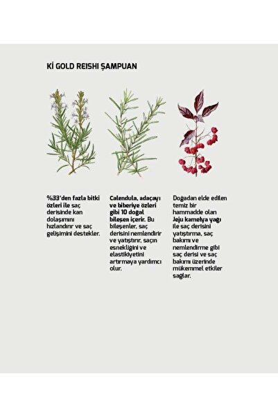 Ki Gold Reishi Şampuan 400 ml