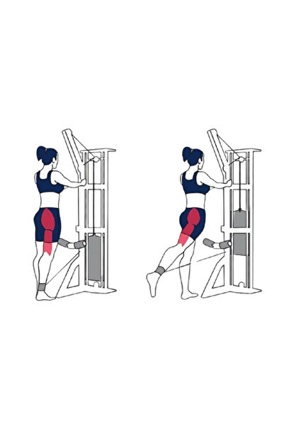 DAY''S DOCTOR D Ring Fitness Ankle Weight Work Belt Cable Kickback Foot Wrist Attachment Red