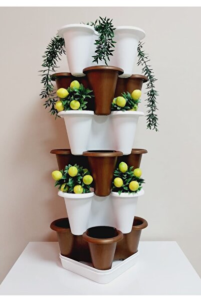 Turco 6 Katlı Şanslı Yonca Kule Saksı Seti | Çiçek Bitki Sebze Meyve Salon Mutfak Banyo Bahçe LATTE