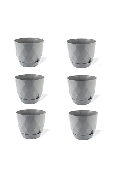 Asil Konsept 6 Adet 0,3 lt Mini Boy Baklava Desenli Sert Plastik Sabit Tabakl...