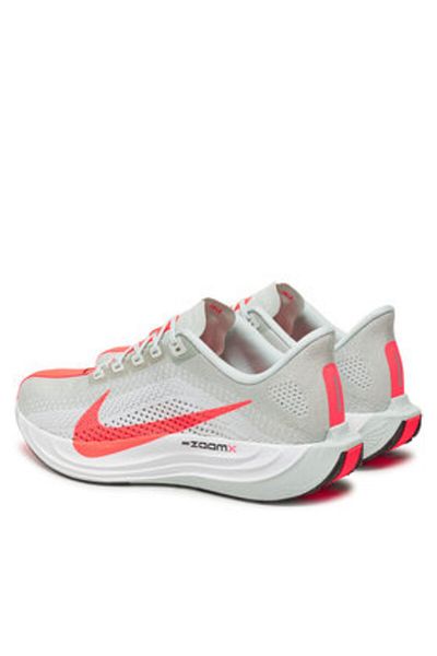 Nike Men's Running Shoes FQ7262 grey
