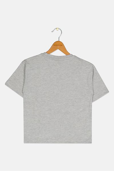 Marvel Kids Boy Crew Neck Short Sleeve Spiderman T-shirt, Grey