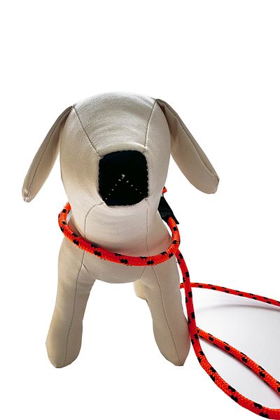 PETSWUU Adjustable Choke Dog Large Breed Neonorange Training Training Obedience Neck Walking Collar