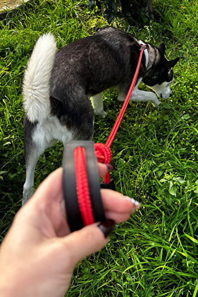 PETSWUU Büyük Irk Köpekler İçin Ayarlanabilir Boğma Eğitim Tasması - Turuncu