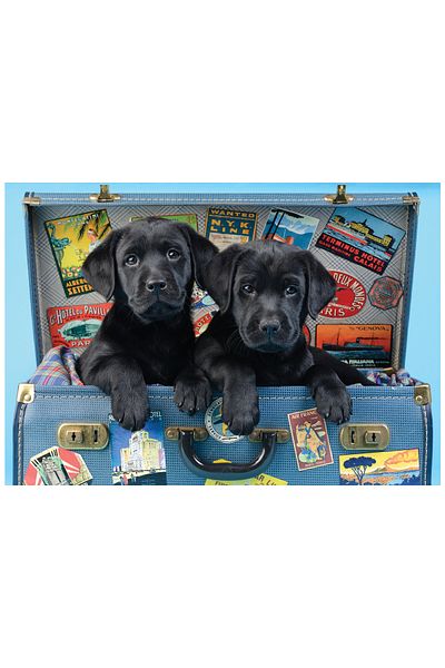 Anatolian Puzzle 500 Piece Jigsaw Puzzle - Traveling Dogs 3601