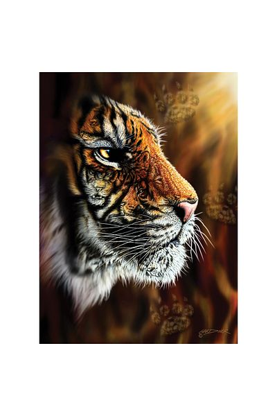 Anatolian Puzzle 1000 Piece Jigsaw Puzzle - Wild Tiger 1097