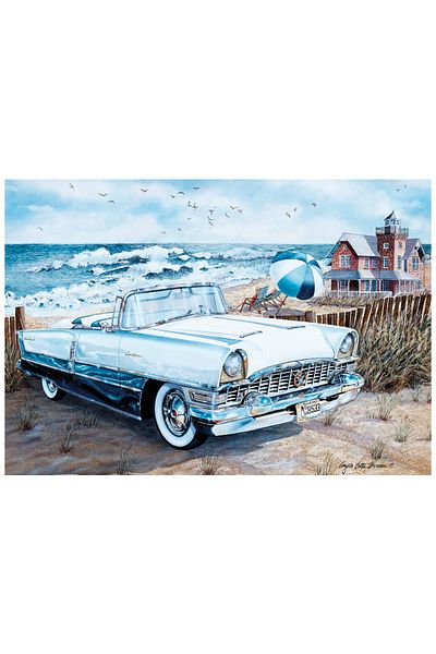 Anatolian Puzzle 500 Piece Jigsaw Puzzle - Summer Lovers 3622