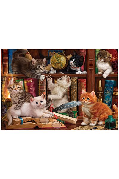 Anatolian Puzzle 500 Piece Jigsaw Puzzle - Cats and Books 3618