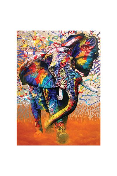Anatolian Puzzle 1000 Piece Jigsaw Puzzle - African Colors 1054
