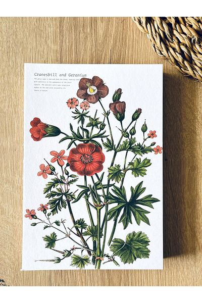 STOREMAX Jvnnastore Promotion Special Design Printed Cover A5 Lined Notebook - Can Open 180 Degrees,