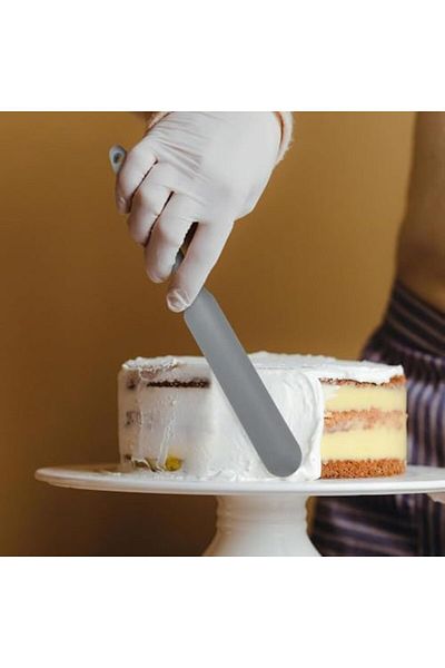 STOREMAX Daiviolastore Silicone Butter and Cream Spatula, Cake Spatula, 5 Different Color Options (Ant