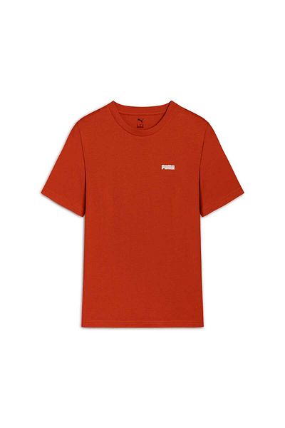 Puma Essentials Small Logo Men's T-Shirt