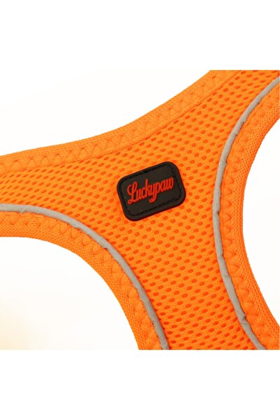 Genel Markalar Kedi Köpek Air-mesh Göğüs Tasması Ve Gezdirme Sevk Kayışı Seti 2si1 Arada