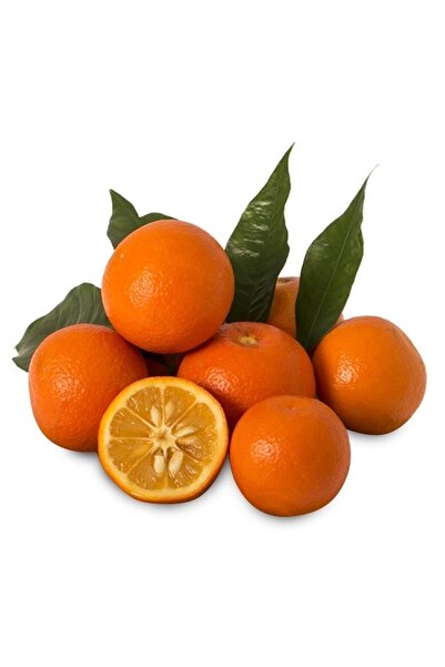 Hamile Marketim Yeni Sezon Turunç 1 Kg Portakallı